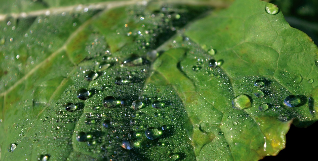 Annual Report 2025: Another solid year for Genan emphasizes that the circular business model is robust